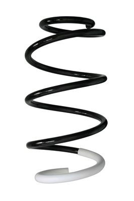 Spyruoklė SPIDAN 88001