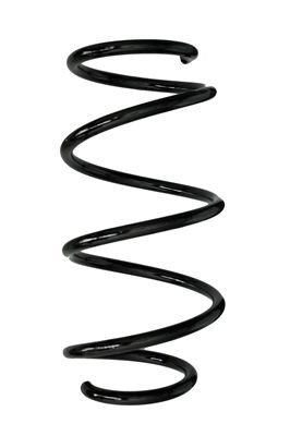 Spyruoklė SPIDAN 88006