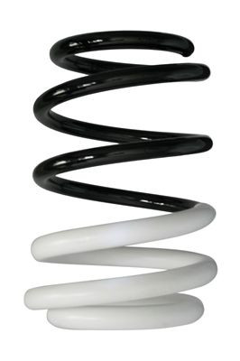 Spyruoklė SPIDAN 88007