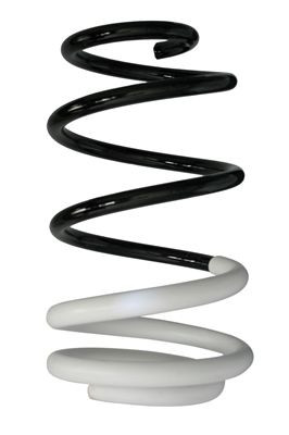 Spyruoklė SPIDAN 88008