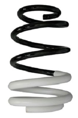 Spyruoklė SPIDAN 88009