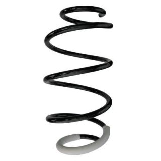 Spyruoklė SPIDAN 88074