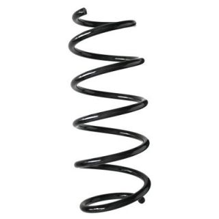 Spyruoklė SPIDAN 88131