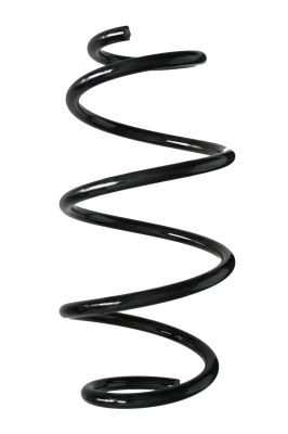 Spyruoklė SPIDAN 88135