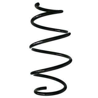 Spyruoklė SPIDAN 88136