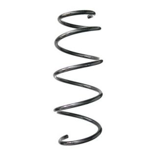 Spyruoklė SPIDAN 88193