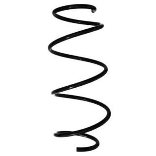 Spyruoklė SPIDAN 88363