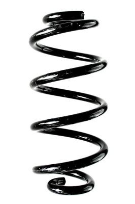 Spyruoklė SPIDAN 88369