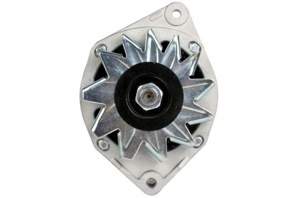 Kintamosios srovės generatorius HELLA 8EL 012 427-641