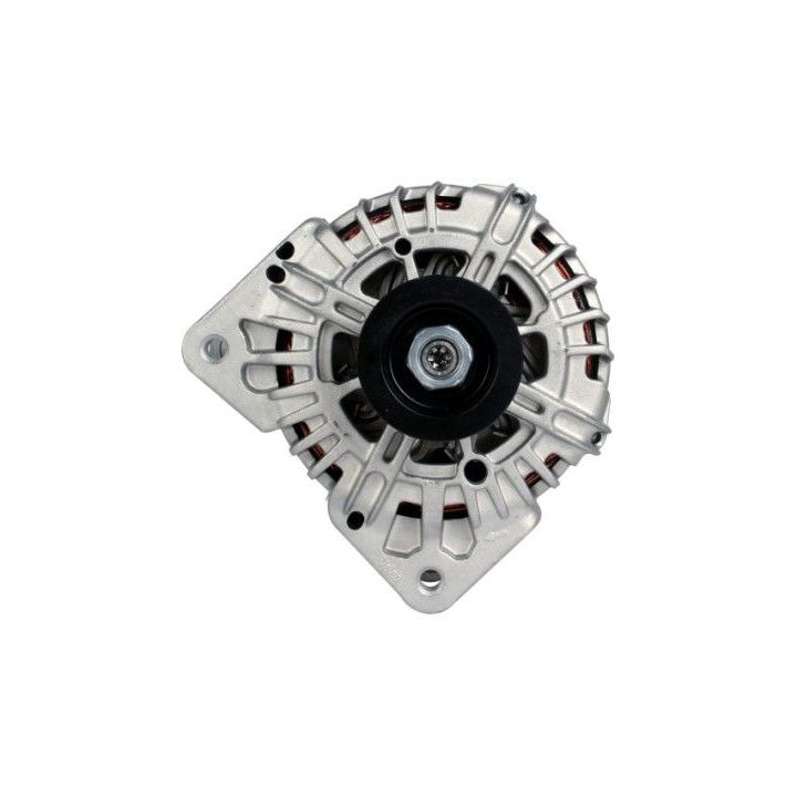 Kintamosios srovės generatorius HELLA 8EL 012 429-311