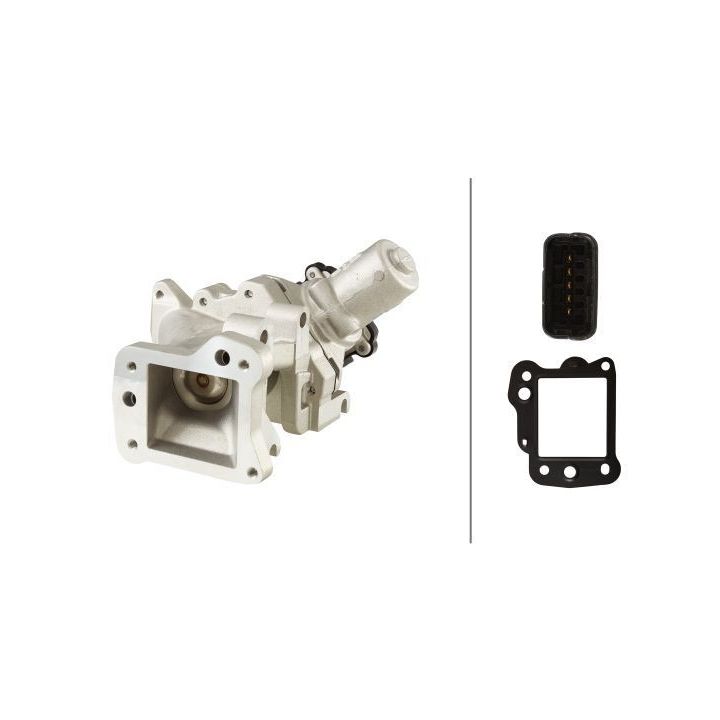 ERG vožtuvas HELLA 6NU 010 171-231