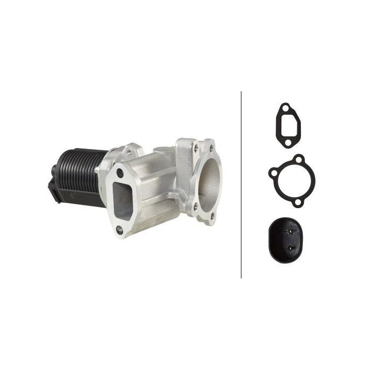 ERG vožtuvas HELLA 6NU 010 171-421