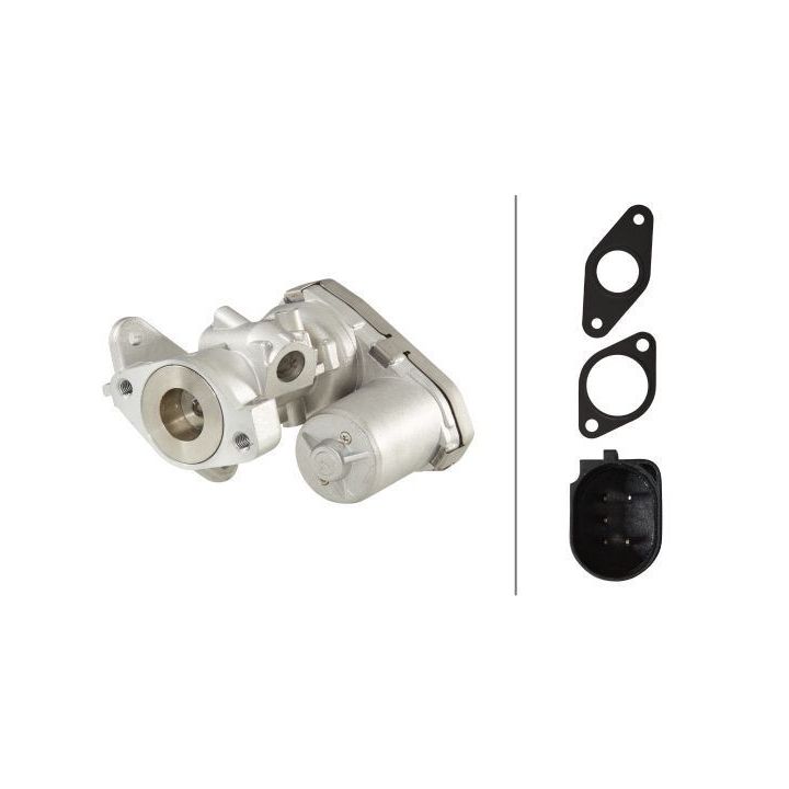 ERG vožtuvas HELLA 6NU 010 171-461