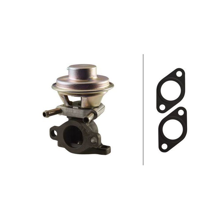 ERG vožtuvas HELLA 6NU 010 171-481