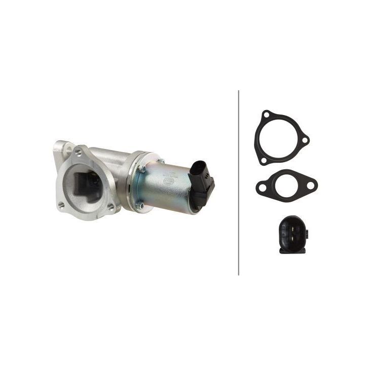 ERG vožtuvas HELLA 6NU 010 171-531