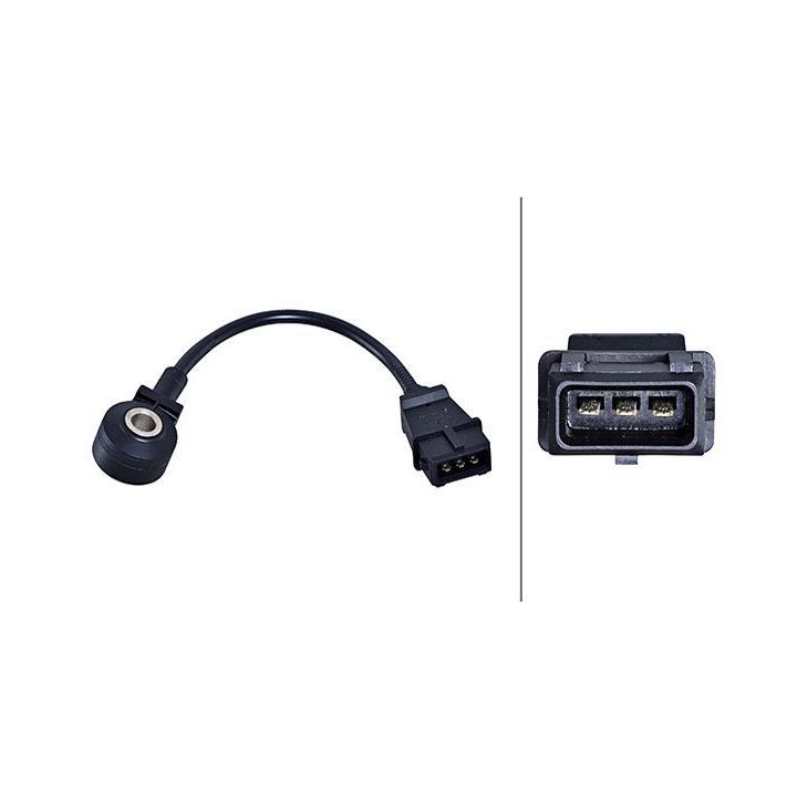 Detonacijos jutiklis HELLA 6PG 013 114-311