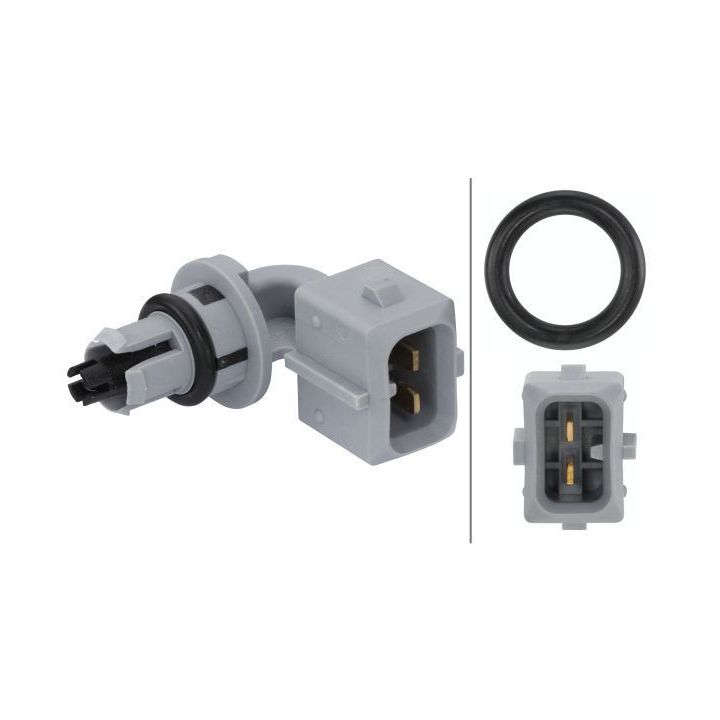 Siuntimo blokas, įsiurbiamo oro temperatūra HELLA 6PT 009 109-221