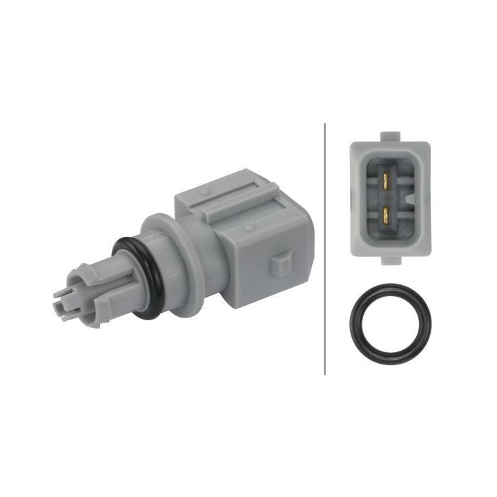 Siuntimo blokas, įsiurbiamo oro temperatūra HELLA 6PT 009 109-271