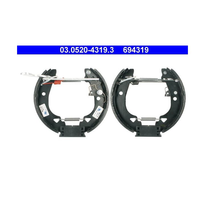 Stabdžių trinkelių komplektas ATE 03.0520-4319.3