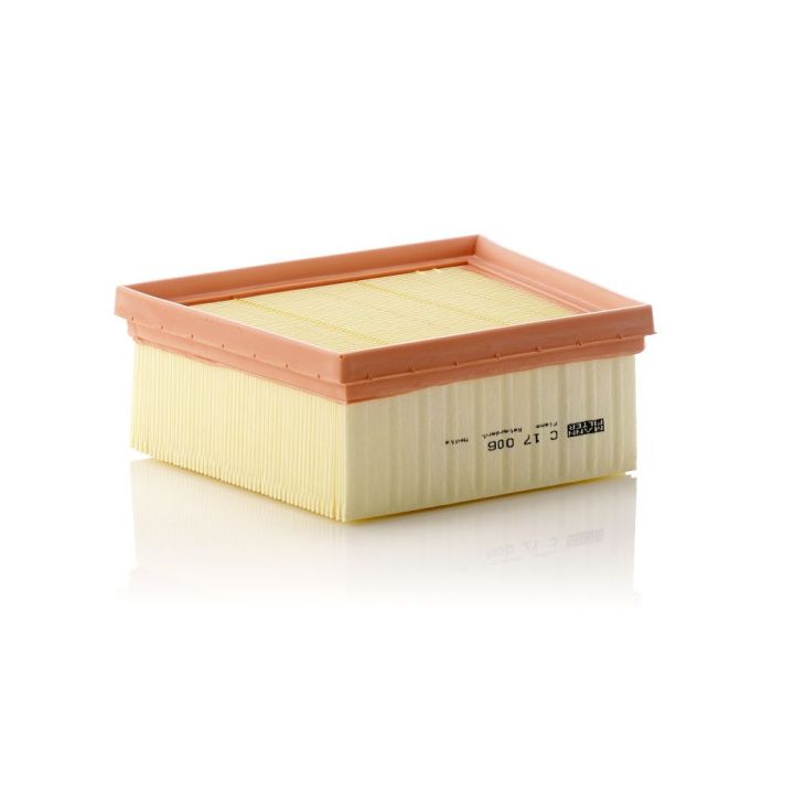 Oro filtras MANN-FILTER C 17 006