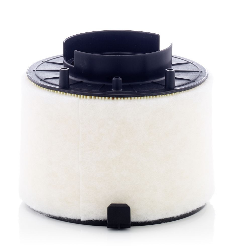 Oro filtras MANN-FILTER C 17 009