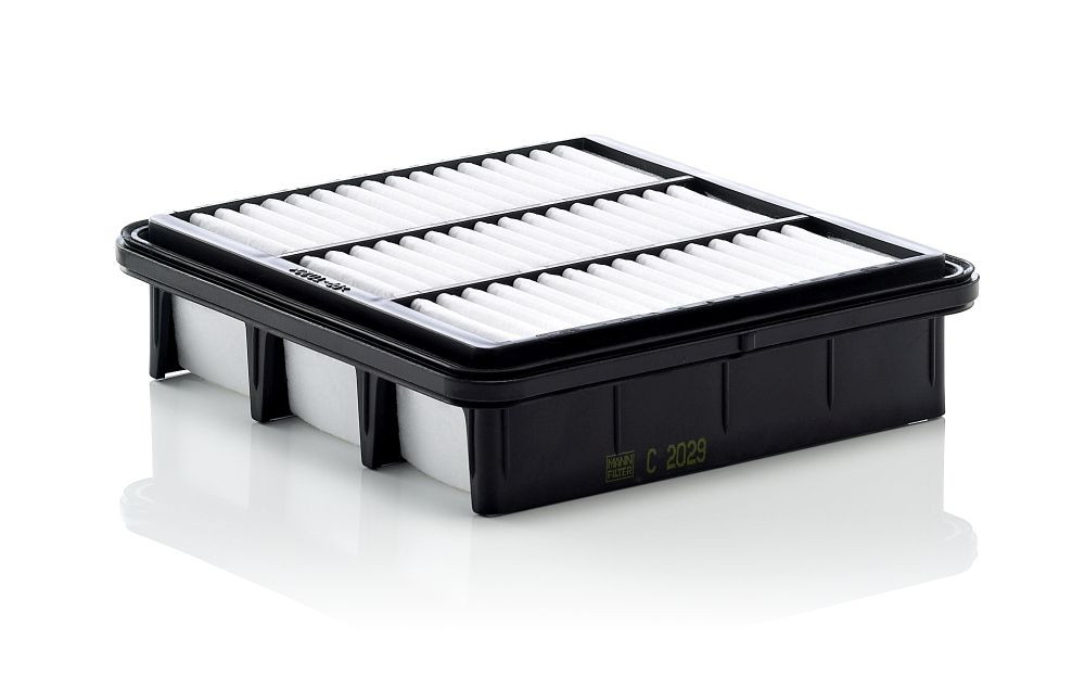 Oro filtras MANN-FILTER C 2029