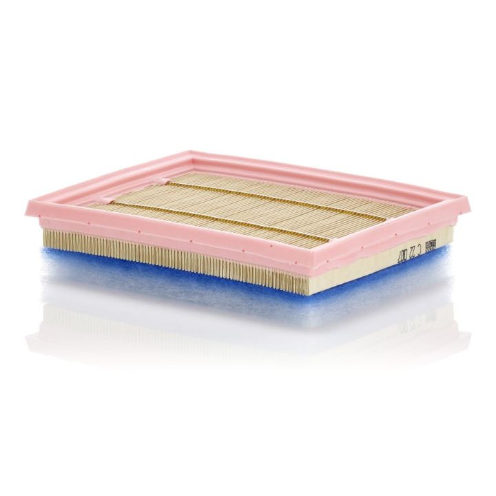 Oro filtras MANN-FILTER C 22 007