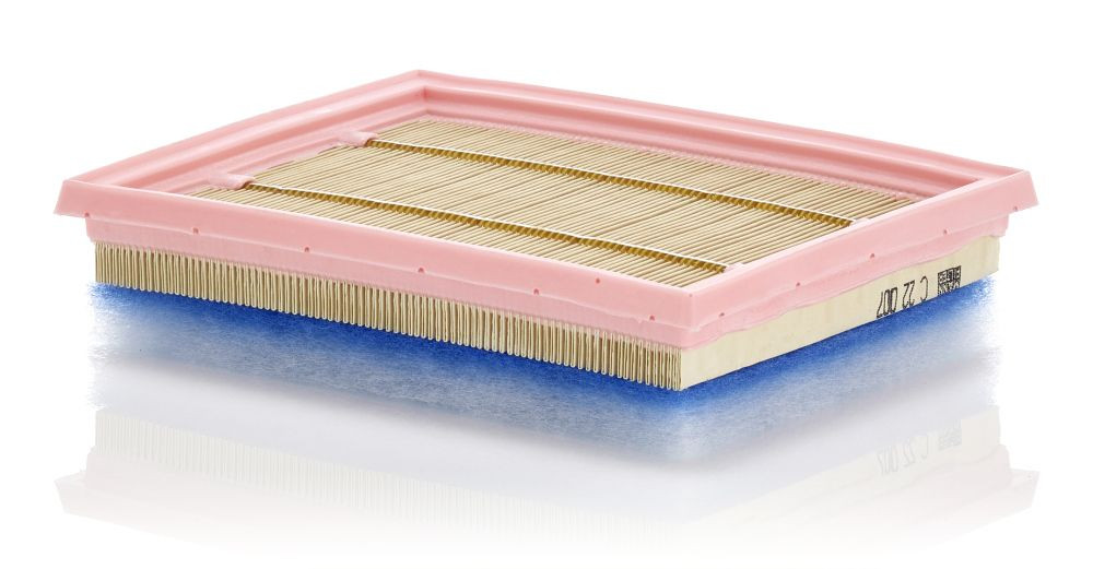 Oro filtras MANN-FILTER C 22 007