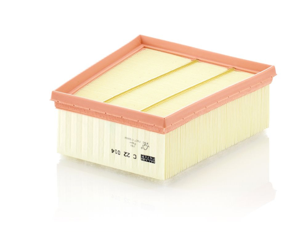 Oro filtras MANN-FILTER C 22 014