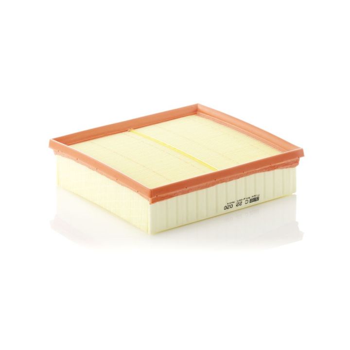 Oro filtras MANN-FILTER C 22 020