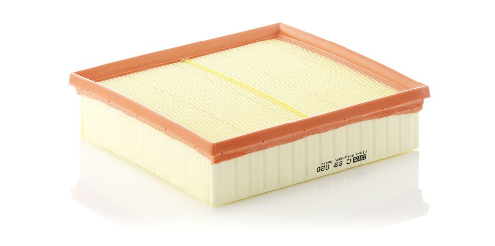 Oro filtras MANN-FILTER C 22 020