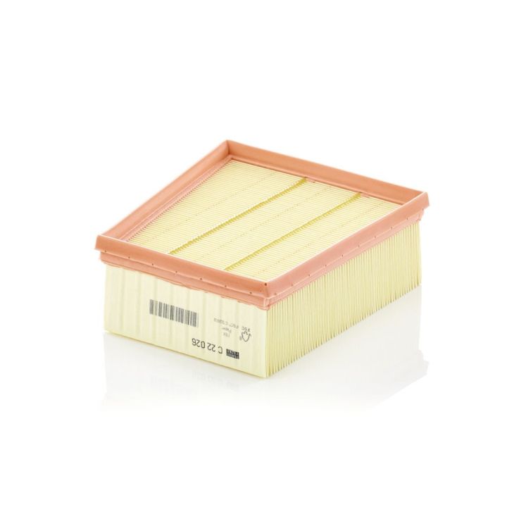 Oro filtras MANN-FILTER C 22 026