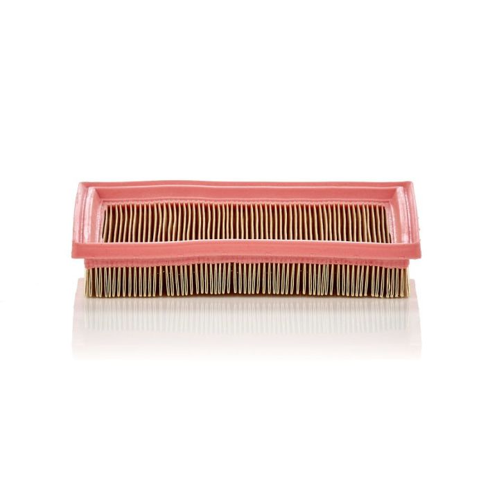 Oro filtras MANN-FILTER C 2244