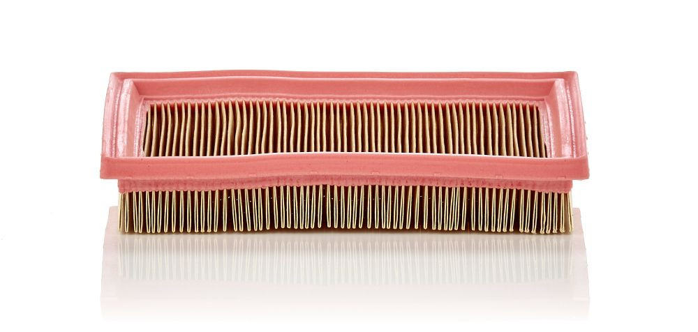 Oro filtras MANN-FILTER C 2244