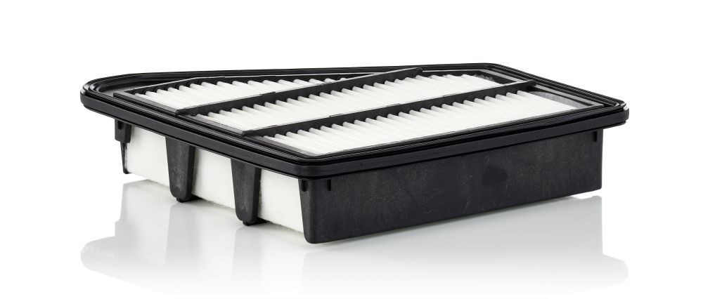 Oro filtras MANN-FILTER C 24 075