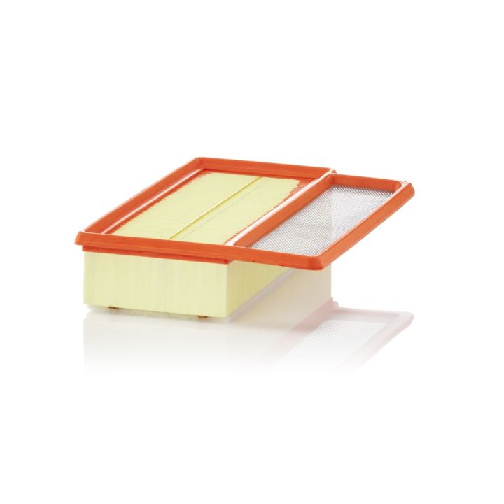 Oro filtras MANN-FILTER C 24 080