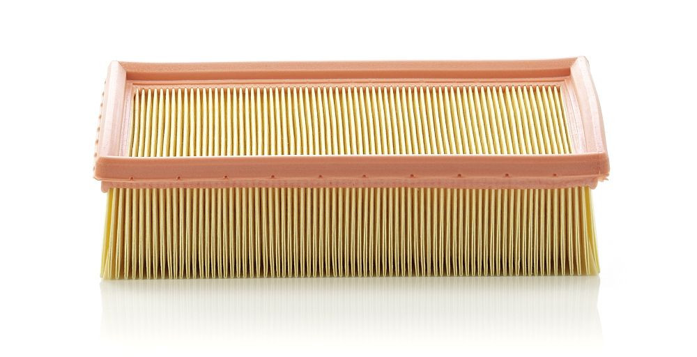 Oro filtras MANN-FILTER C 24 105