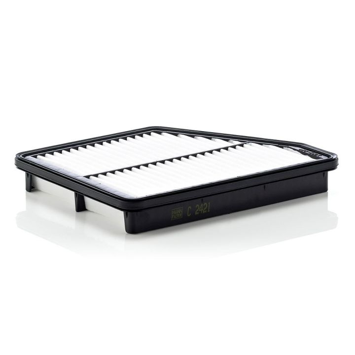 Oro filtras MANN-FILTER C 2421
