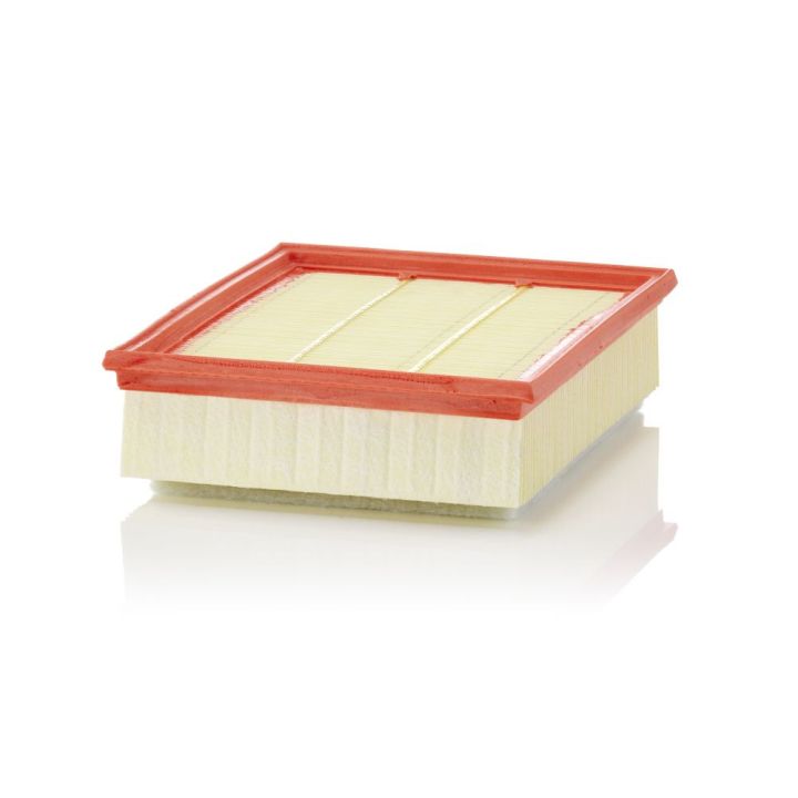 Oro filtras MANN-FILTER C 25 018