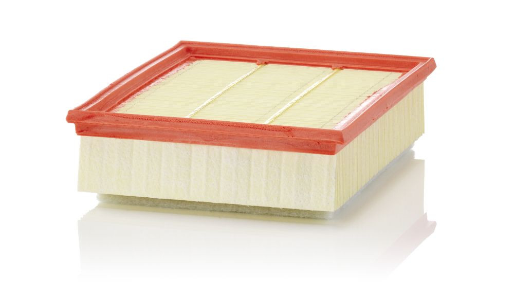 Oro filtras MANN-FILTER C 25 018