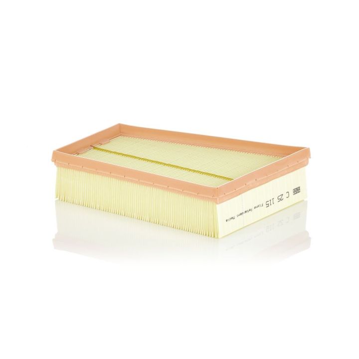 Oro filtras MANN-FILTER C 25 115