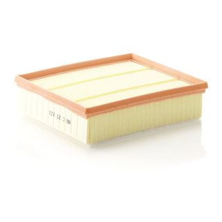 Oro filtras MANN-FILTER C 25 122