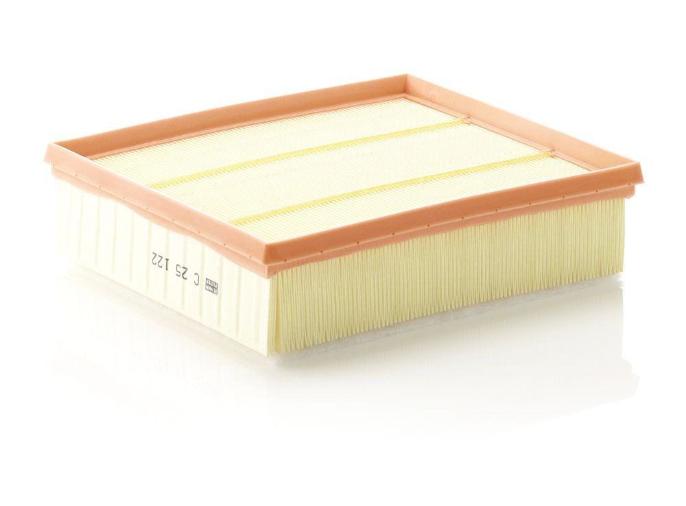 Oro filtras MANN-FILTER C 25 122