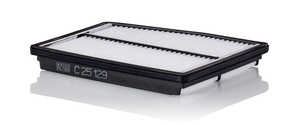Oro filtras MANN-FILTER C 25 129