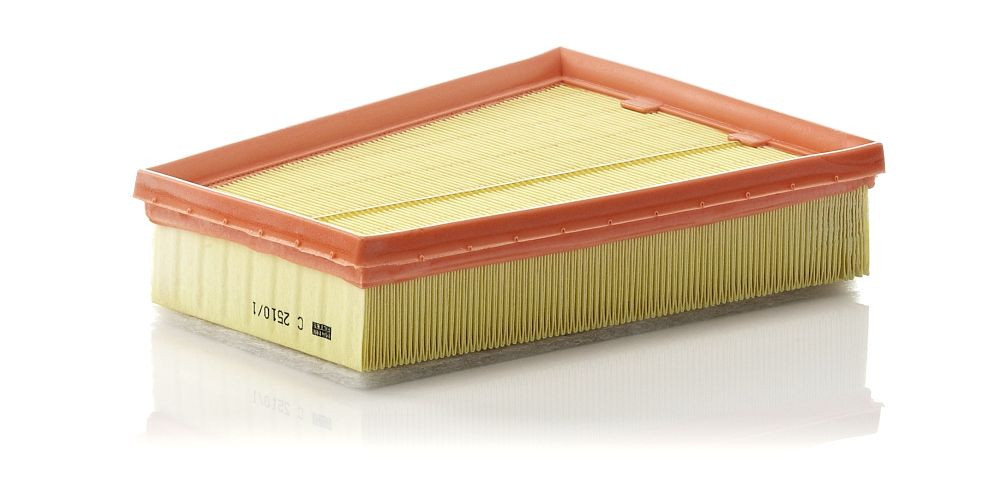 Oro filtras MANN-FILTER C 2510/1