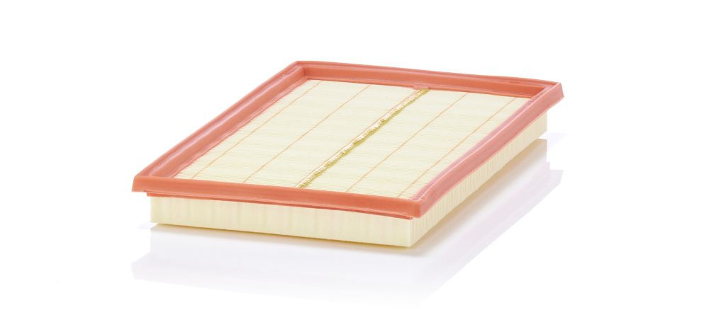 Oro filtras MANN-FILTER C 28 200