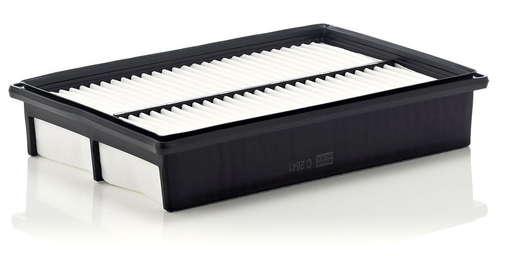Oro filtras MANN-FILTER C 2841