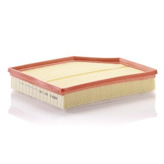 Oro filtras MANN-FILTER C 29 021