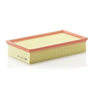 Oro filtras MANN-FILTER C 29 118