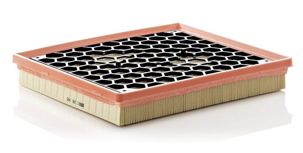 Oro filtras MANN-FILTER C 29 145